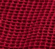 Red Berry