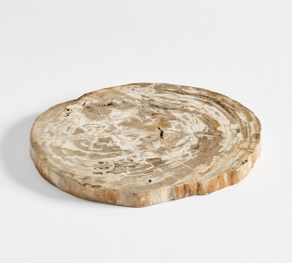 Petrified Wood Cheese Board