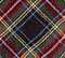 Anthony Plaid