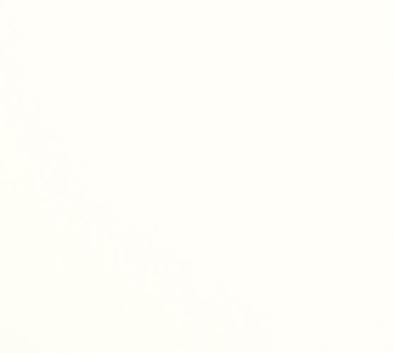 Pure White Wood Swatch