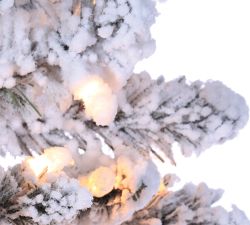 Pre-Lit Flocked Austin Pine Artificial Christmas Trees