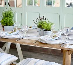 Costa Nova Beja Rimmed Dinner Plates - Set of 4