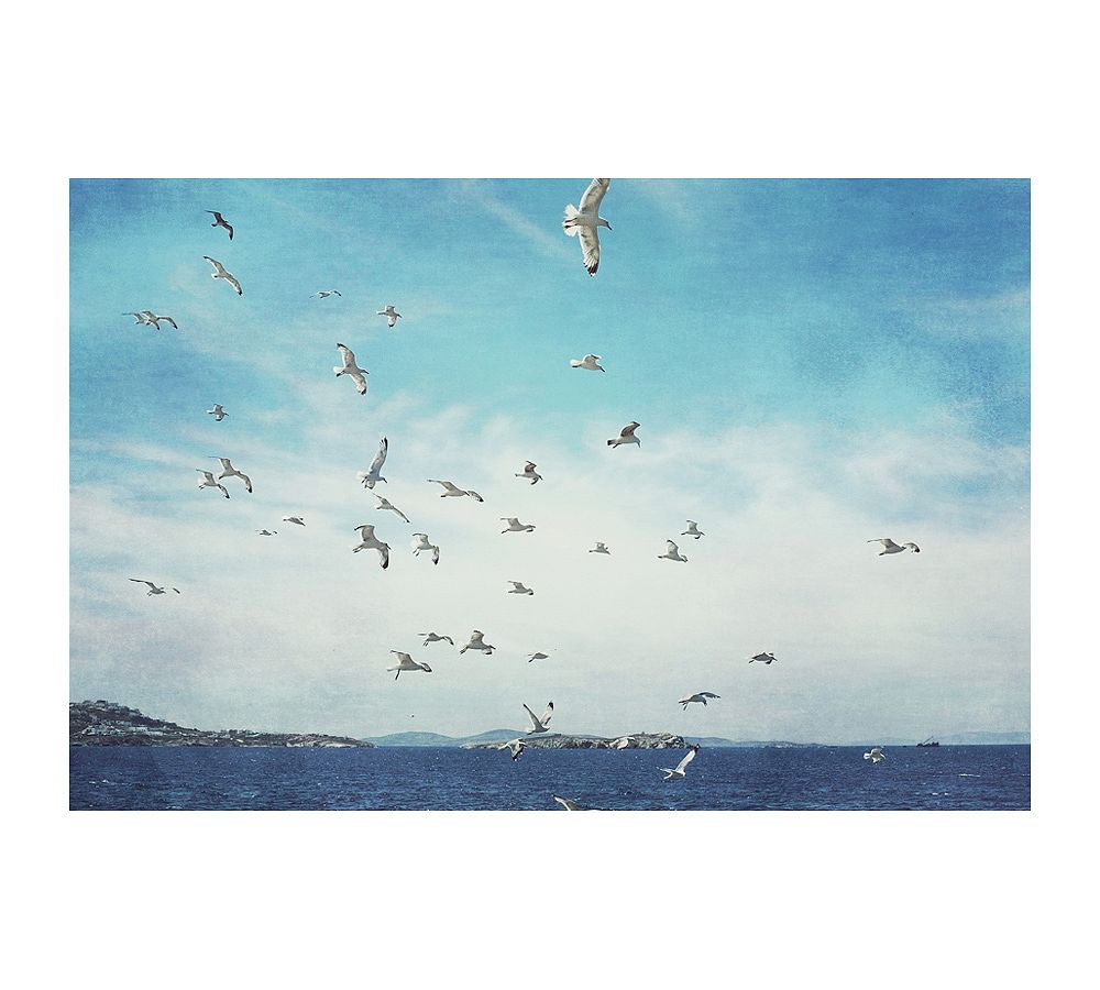 Taking Flight by Lupen Grainne