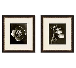 Vintage Bloom Portrait Framed Prints
