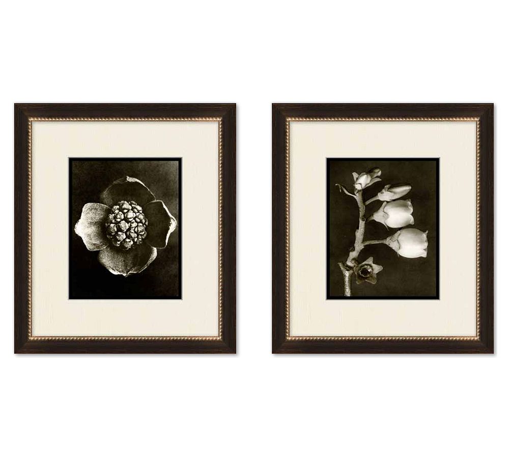 Vintage Bloom Portrait Framed Prints