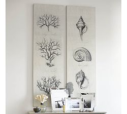 Coral &amp; Shell Canvas