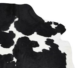 Cow Hide Rug