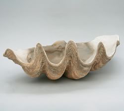 Fossilized Clam Decorative Object