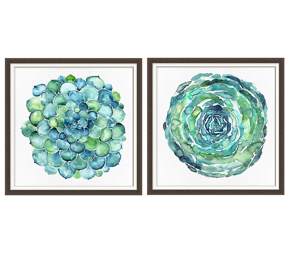 Watercolor Succulent Print