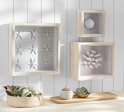 Coral Shadowbox