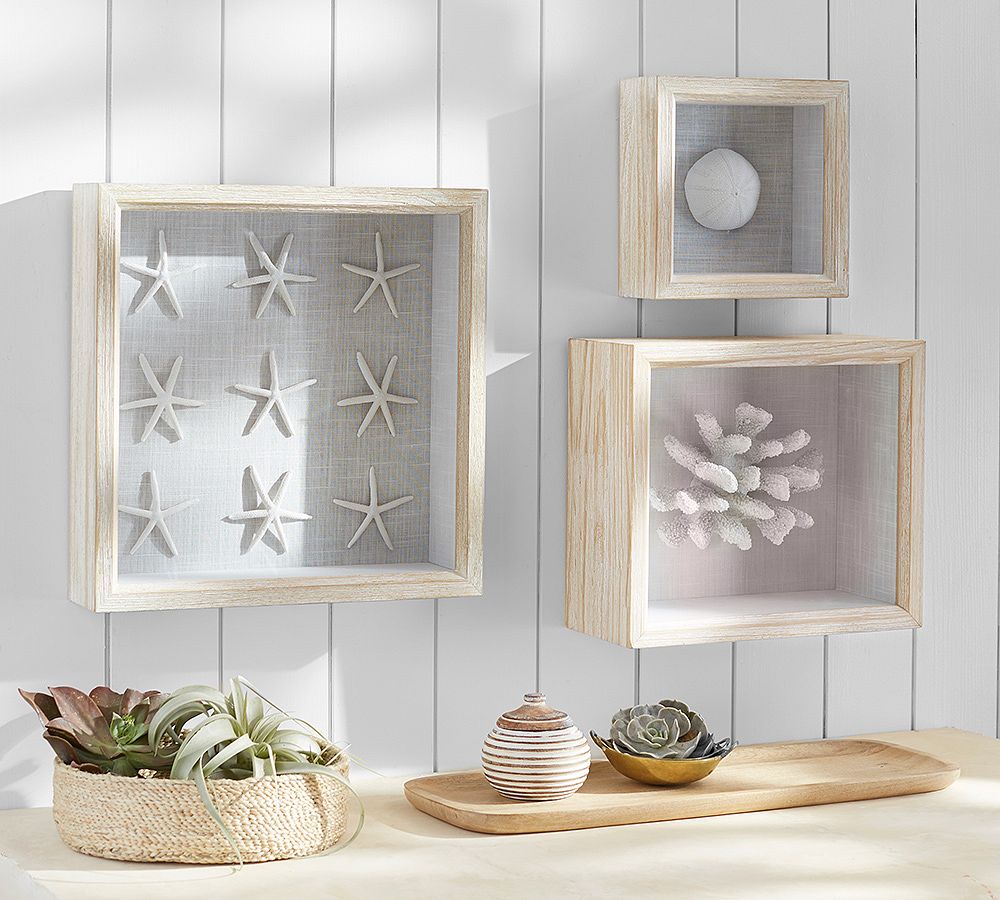 Coral Shadowbox