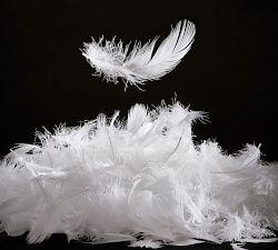 Open Box: Luxury 700FP European White Goose Down Pillow