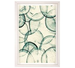 Daikon Transparency Framed Prints