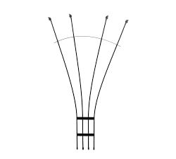 Fan Trellis