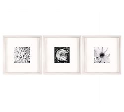 Black &amp; White Flowers With Mat Framed Prints
