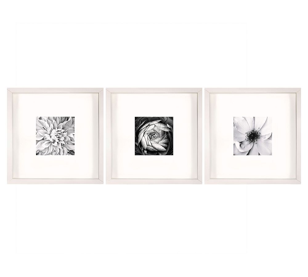 Black &amp; White Flowers With Mat Framed Prints