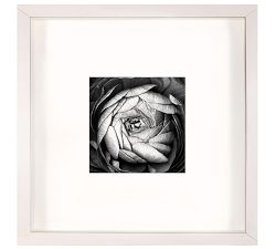 Black &amp; White Flowers With Mat Framed Prints