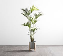 Faux Potted Kentia Palm