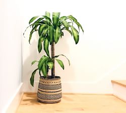 Iringa Woven Baskets
