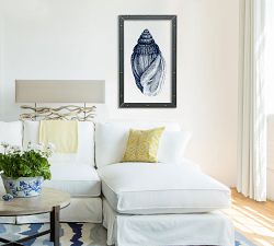 Cone Shell Framed Acrylic Print