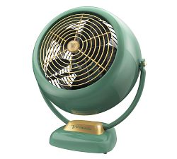 Senior Vornado Fan
