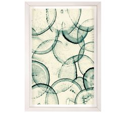 Daikon Transparency Framed Prints
