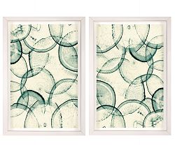 Daikon Transparency Framed Prints