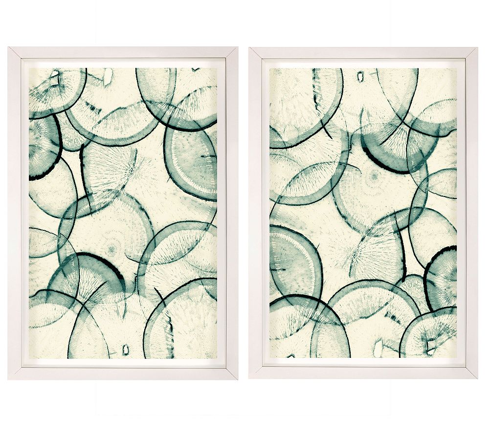 Daikon Transparency Framed Prints