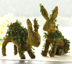 Fresh Ivy Bunny Topiaries