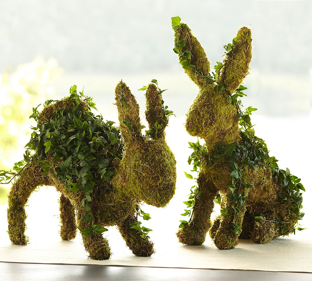 Fresh Ivy Bunny Topiaries