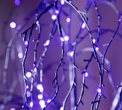 Lit Weeping Willow Tree | Pottery Barn