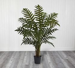 Faux Evergreen Plant
