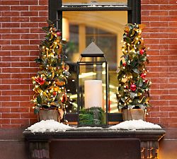 Outdoor Ornament Magnolia Topiaries - Red