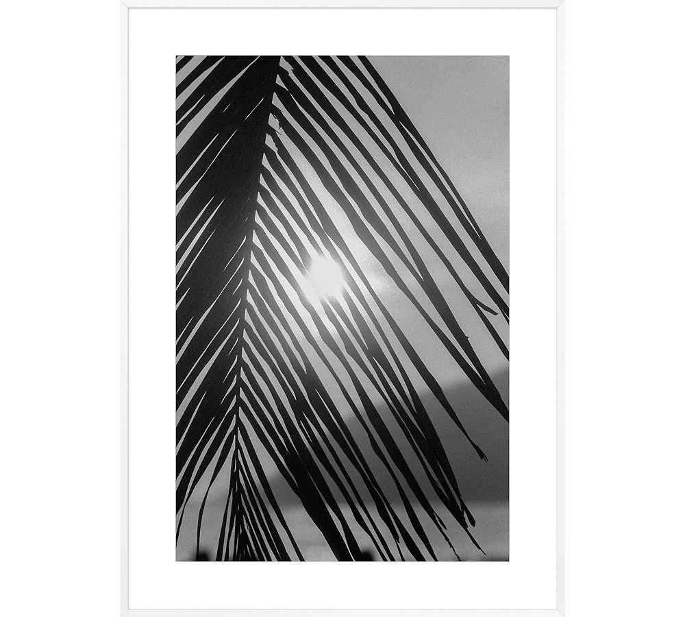 Palm Sun by Leco Moura