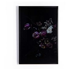 Still Framed Prints