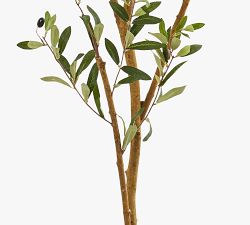 Faux Olive Trees