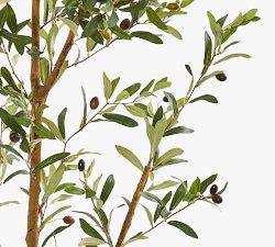 Faux Olive Trees