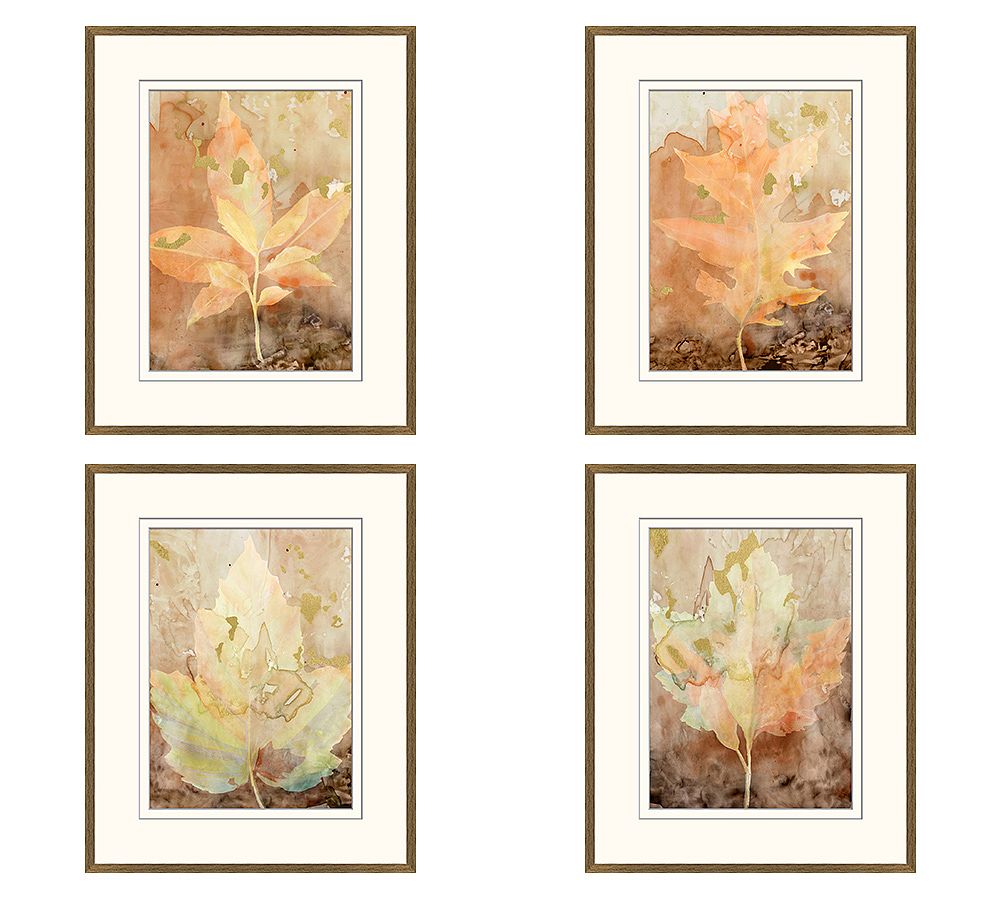 Autumn Leaves Framed Print