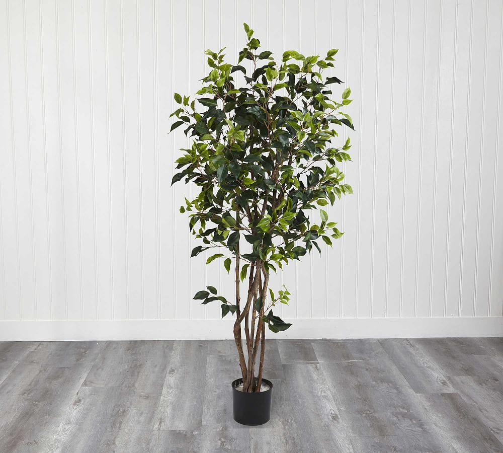Faux Potted Ficus Bushy Tree