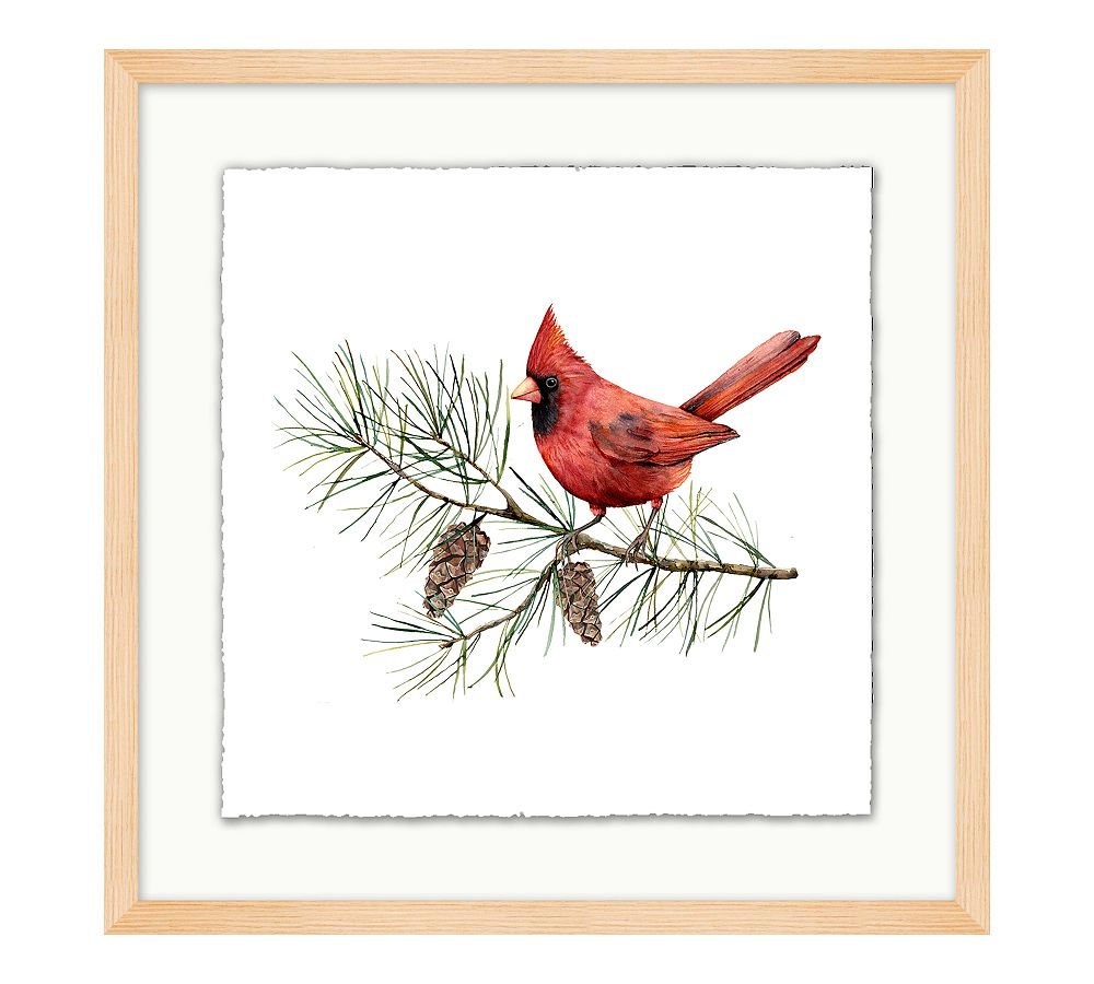 Cardinal With Pine Branch Light Oak Frame 19"x19"