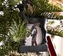 Bronze Reindeer Frame Ornament