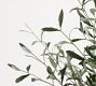 Faux Faded Olive Leaf Tree