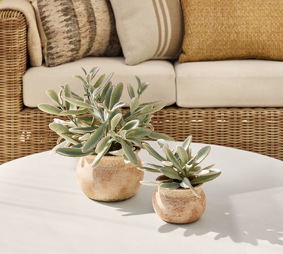 Faux Potted Faded Succulent