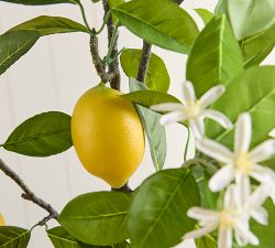 Faux Lemon Branches