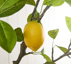 Faux Lemon Branches