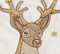Reindeer