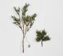 Lit Faux Juniper Branch