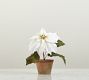 Faux Potted Poinsettias