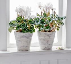 Marble Planters