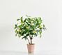 Faux Potted Lemon Topiary